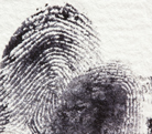 fingerprint